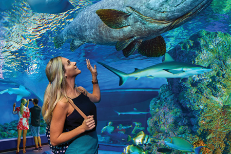 Cairns Aquarium