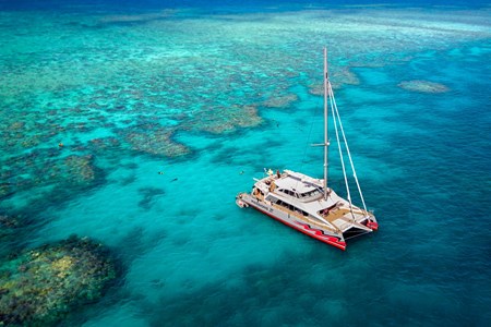 Passions of Paradise