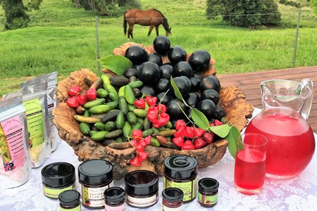 Cairns Food & Wine Tours