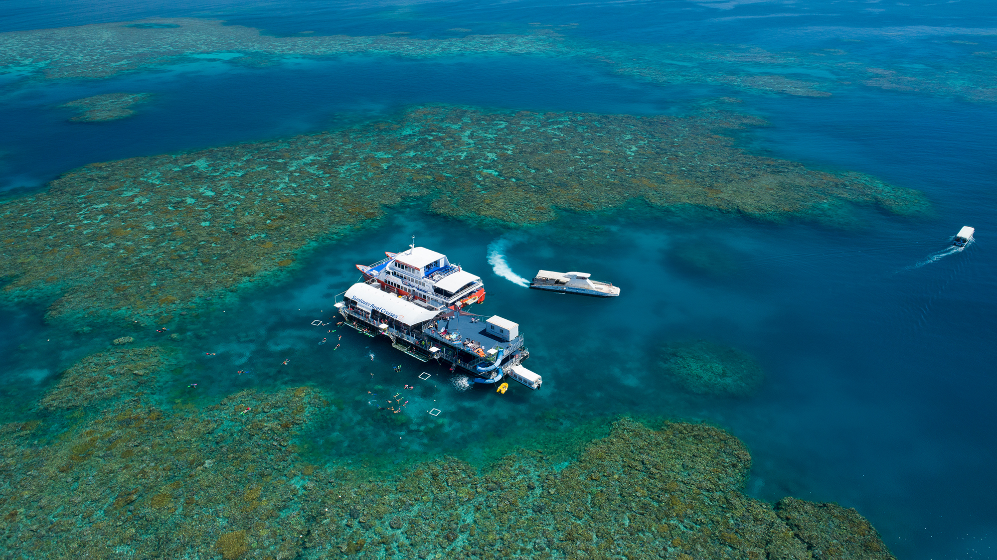 Sunlover Reef Crusies