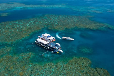 Sunlover Reef Crusies